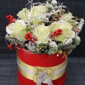 ZIMSKA ČAROLIJA 20PB