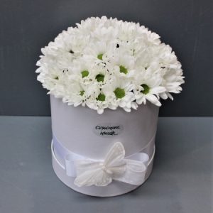 SNOWFLAKE - 25PB