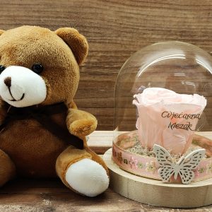 DEHIDRIRANA RUŽA U STAKLENOM ZVONU + MEDO 7Z