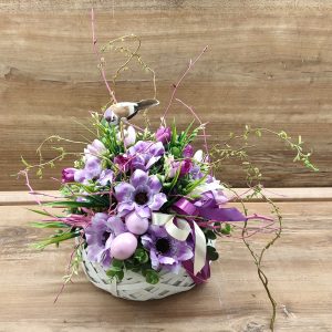 ARANŽMAN TRAJNI - 7TA