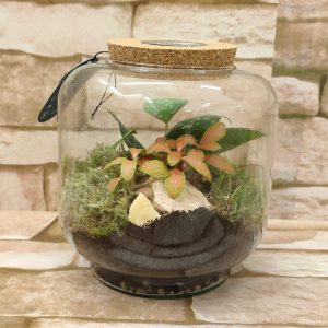 TERRARIUM 4Z