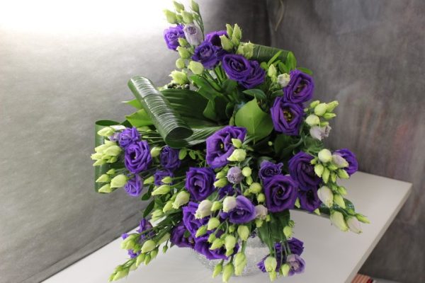 PURPLE 73PB - Image 4