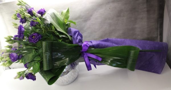 PURPLE 73PB - Image 3