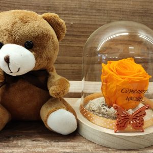 Dehidrirana ruža u staklenom zvonu + medvjedić 97Z