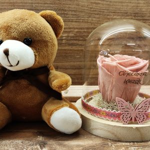 TRAJNA RUŽA U STAKLENOM ZVONU + MEDO 15Z