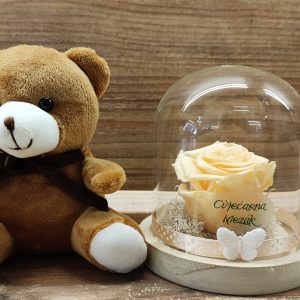 DEHIDRIRANA RUŽA U STAKLENOM ZVONU + MEDO 32Z