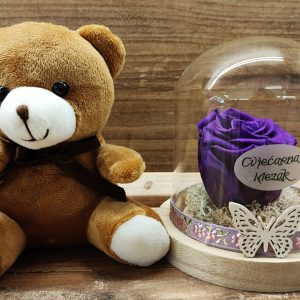 Dehidrirana ruža u staklenom zvonu + medvjedić 31Z