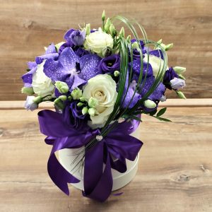VANDA BOX 130PB