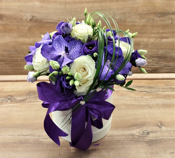 VANDA BOX 130PB