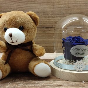 DEHIDRIRAN TRAJN RUŽA U STAKLENOM ZVONU + MEDO