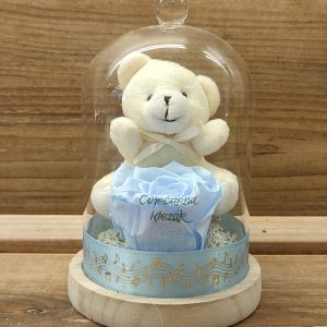 Dehidrirana ruža+medo u staklenom zvonu19Z