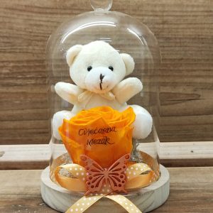 Dehidrirana ruža sa medvjedičem u staklenom zvonu 17Z