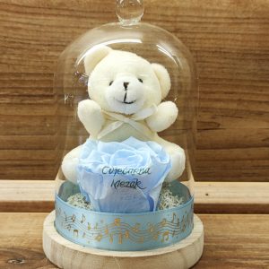 Dehidrirana ruža+medo u staklenom zvonu19Z