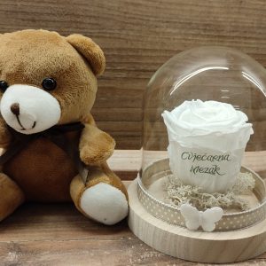 Dehidrirana ruža u staklenom zvonu + medvjedić 6Z