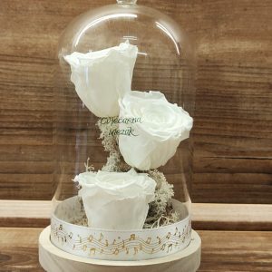 Dehidrirane ruže u zvonu - svjetle u mraku107Z