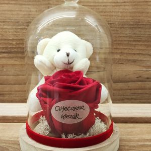 Dehidrirana ruža+medo u zvonu 105Z