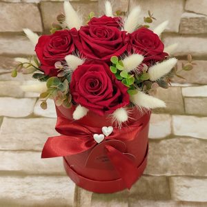 BOX V - TRAJNE DEHIDRIRANE RUŽE  106Z