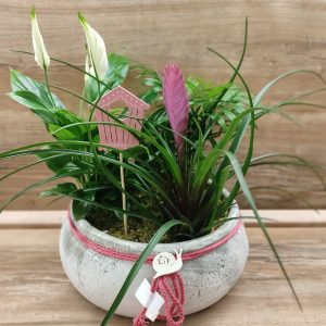 Mini garden 201Z