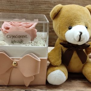 Permanent dehydrated roses + teddy bear 204Z