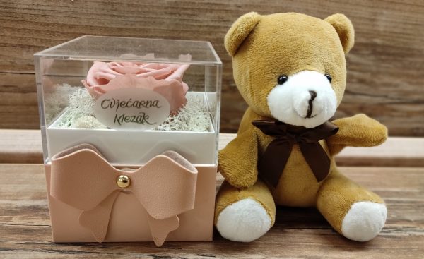 Permanent dehydrated roses + teddy bear 204Z