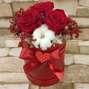 BOX A TRAJNE DEHIDRIRANE RUŽE 410Z