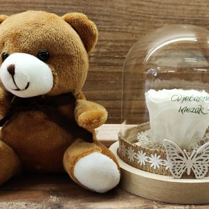 DEHIDRIRANA RUŽA U STAKLENOM ZVONU KOJA SVIJETLI U MRAKU + MEDO 409Z