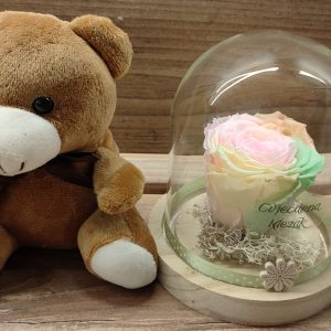 DEHIDRIRANA RUŽA U STAKLENOM ZVONU + MEDO 408Z